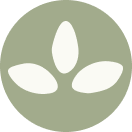 homeopatija icon